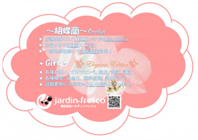 ★『胡蝶蘭』Gift 始めました!