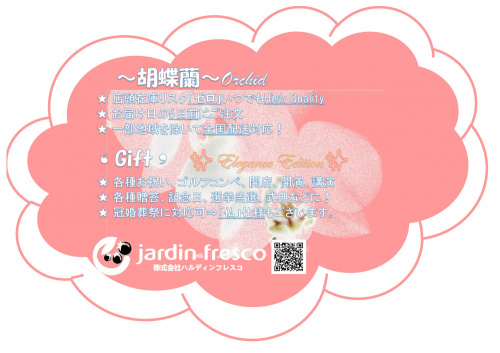 ★『胡蝶蘭』Gift 始めました！