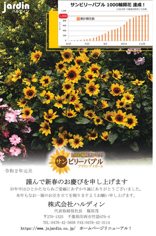 ★2020 新年あけましておめでとうございます