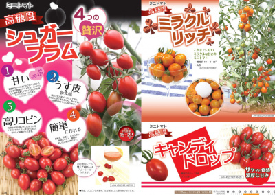 ★ ～jardin tomato BIG FES！2020.～　jarfre on-line