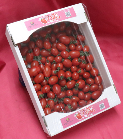 ★ jarfre on-line【 シュガープラム 新規格 追加しました 】