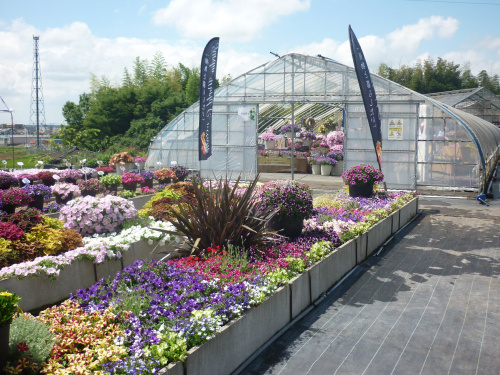 ■ 「ハルディン展⽰会 2020 春」開催中⽌のお知らせ