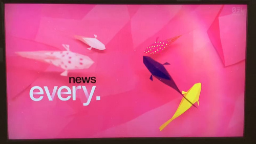 ★ news every.『1,000輪咲きヒマワリ』サンビリーバブル ～館山ファミリーパーク様～