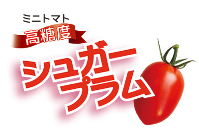 ★【お知らせ】TBS 6/28【がっちりマンデー‼】:高糖度ミニトマト シュガープラム