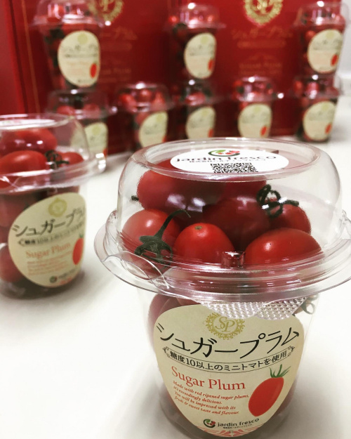 ★【新商品】高糖度ミニトマト シュガープラム