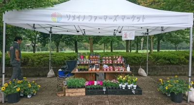 ★ SOMEINO farmer’s market 開催中！