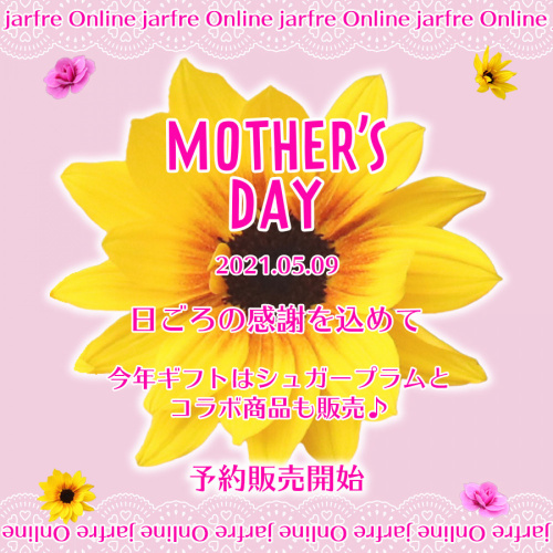 ✰【予約販売】ハルフレオンライン：『母の日』ギフト鉢＆プレミアムギフト✰