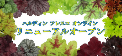 ☆ハルディンフレスコオンライン☆ リニューアルオープン