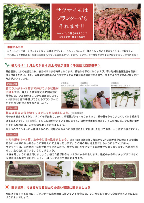 さつまいもプランター栽培完全マニュアル